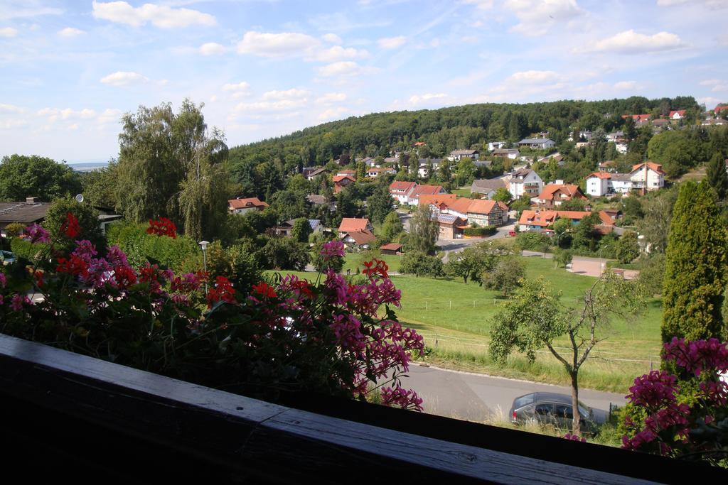 Pension Talblick Höchst im Odenwald Kültér fotó